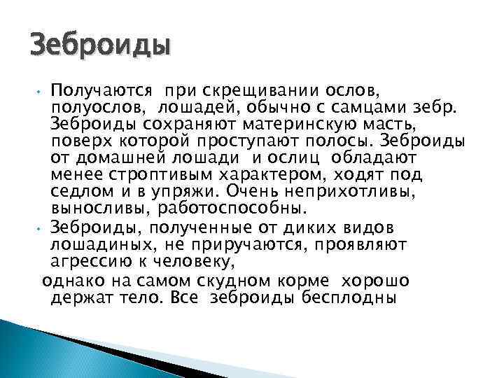 Зеброиды Получаются при скрещивании ослов, полуослов, лошадей, обычно с самцами зебр. Зеброиды сохраняют материнскую