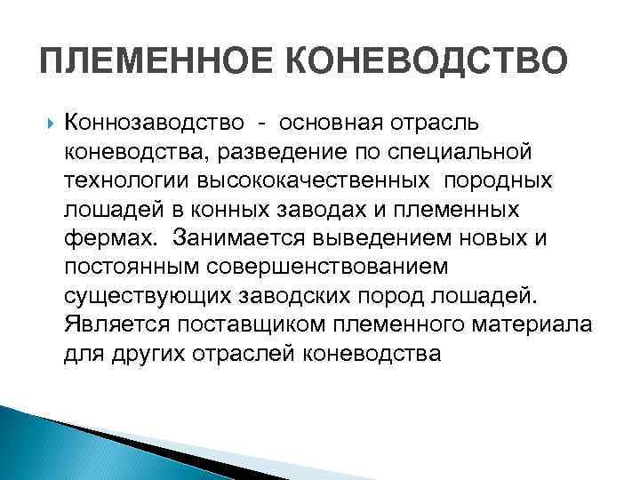 ПЛЕМЕННОЕ КОНЕВОДСТВО Коннозаводство - основная отрасль коневодства, разведение по специальной технологии высококачественных породных лошадей