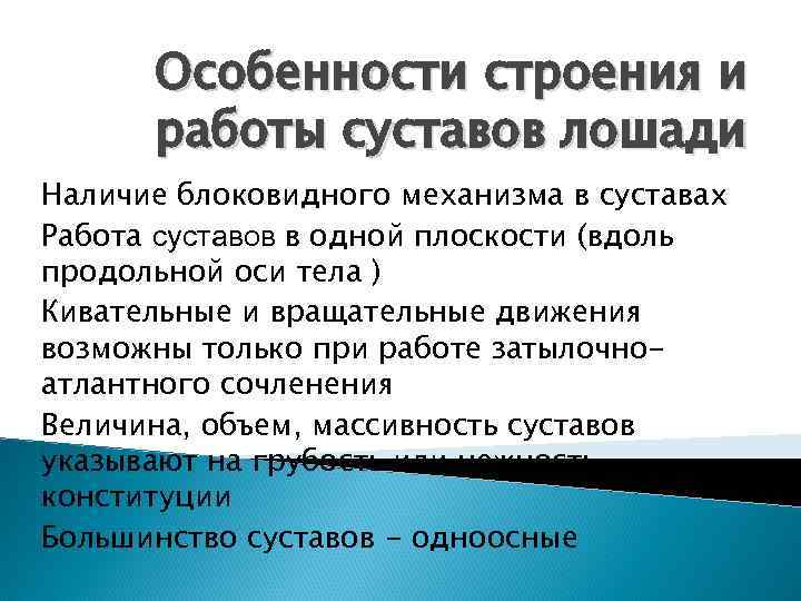 Особенности строения и работы суставов лошади Наличие блоковидного механизма в суставах Работа суставов в