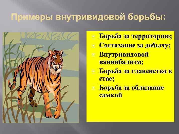 Примеры внутривидовой борьбы: Борьба за территорию; Состязание за добычу; Внутривидовой каннибализм; Борьба за главенство