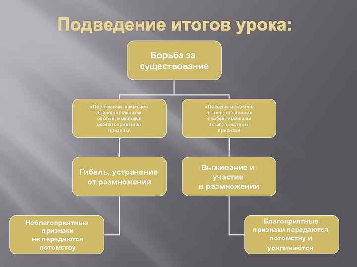 Подведение итогов урока: Борьба за существование «Поражение» наименее приспособленных особей, имеющих неблагоприятные признаки «Победа»
