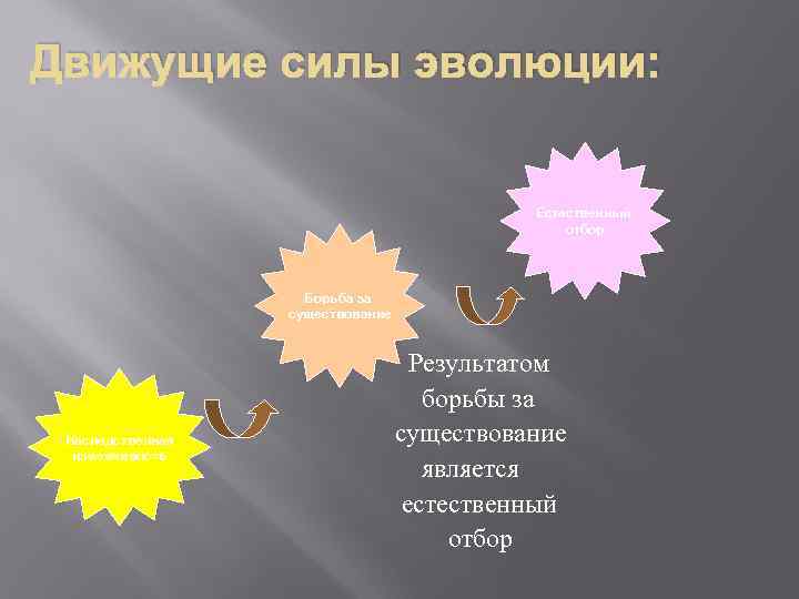 Движущие силы эволюции: Естественный отбор Борьба за существование Наследственная изменчивость Результатом борьбы за существование