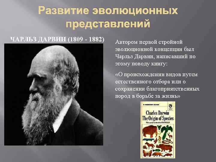 Эволюционное учение ученые. Развитие эволюционных представлений. Автор эволюционной концепции. Сторонники эволюционизма. Чарлз Дарвин открытие Эволюция.