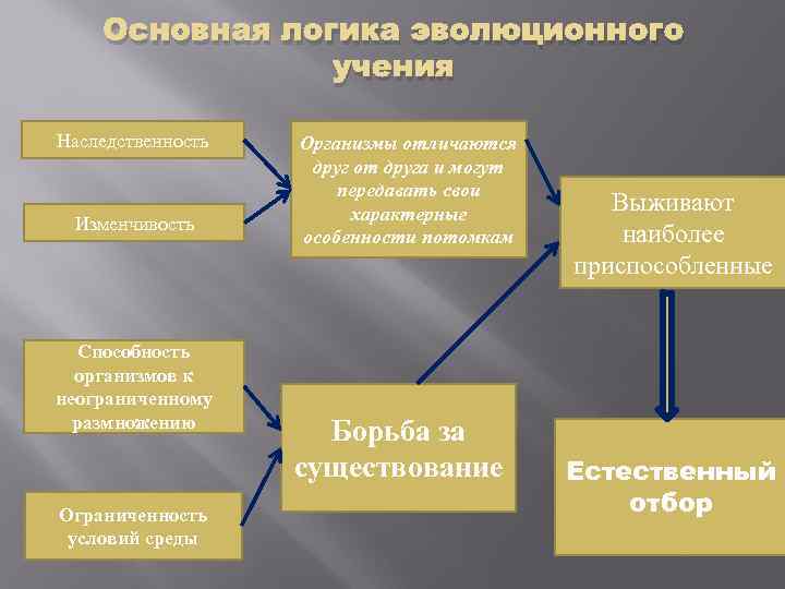 Движущие силы эволюции презентация 7 класс