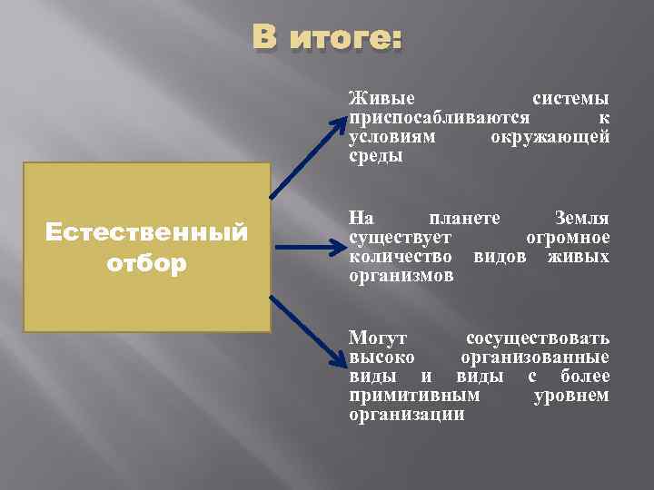В итоге: Живые системы приспосабливаются к условиям окружающей среды Естественный отбор На планете Земля