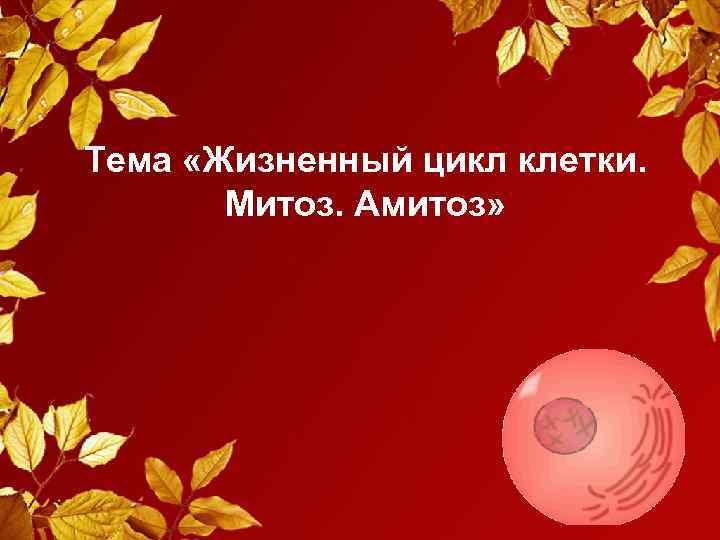 Тема «Жизненный цикл клетки. Митоз. Амитоз» 
