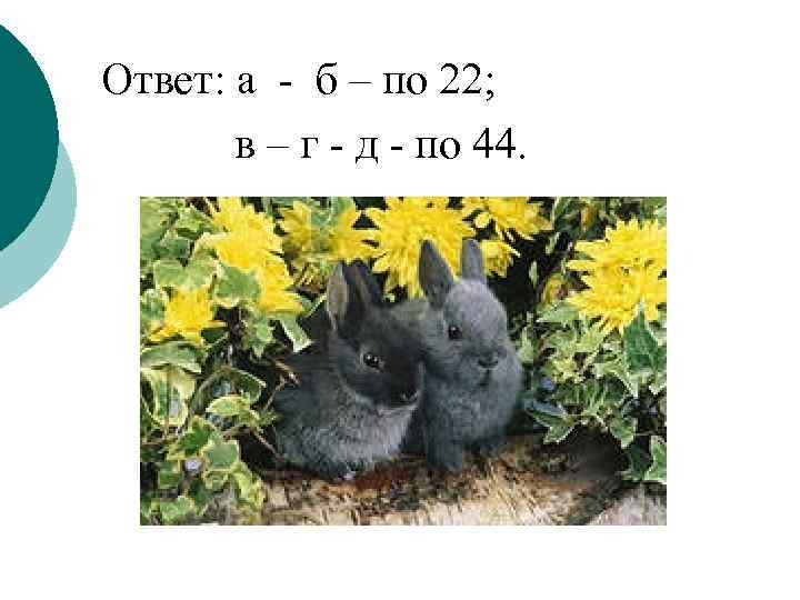 Ответ: а - б – по 22; в – г - д - по