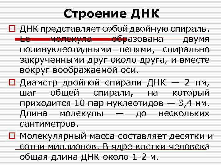 Строение ДНК o ДНК представляет собой двойную спираль. Ее молекула образована двумя полинуклеотидными цепями,