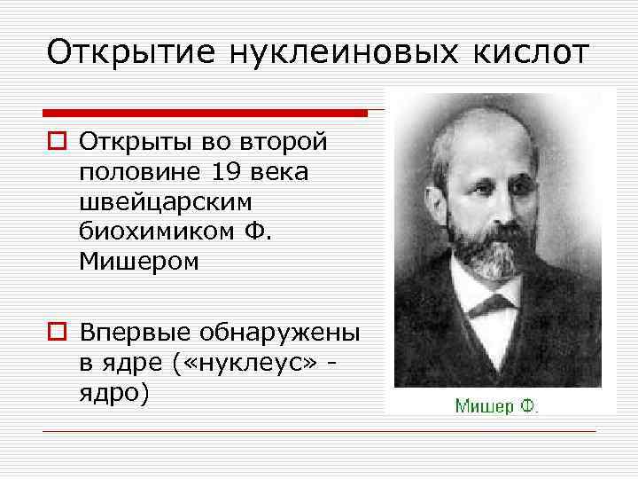Открытие нуклеиновых кислот o Открыты во второй половине 19 века швейцарским биохимиком Ф. Мишером
