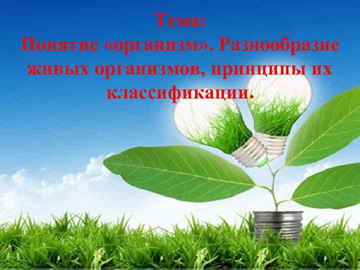 Тема: Понятие «организм» . Разнообразие живых организмов, принципы их классификации. 