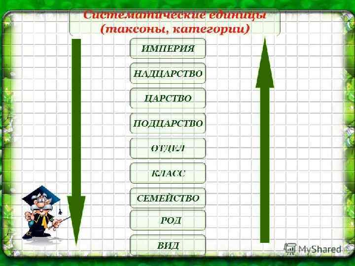 Современные систематические категории Империя? Надцарство? Царство? Подцарство? Тип ? Класс? Отряд? Семейство? Род? Вид?