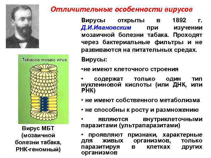 Отличительные особенности вирусов Вирусы открыты в 1892 г. Д. И. Ивановским при изучении мозаичной