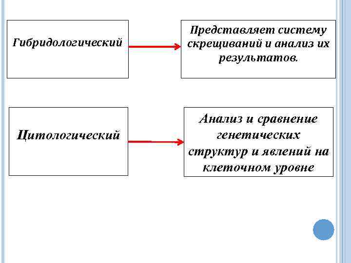 Гибридологический Цитологический Представляет систему скрещиваний и анализ их результатов. Анализ и сравнение генетических структур