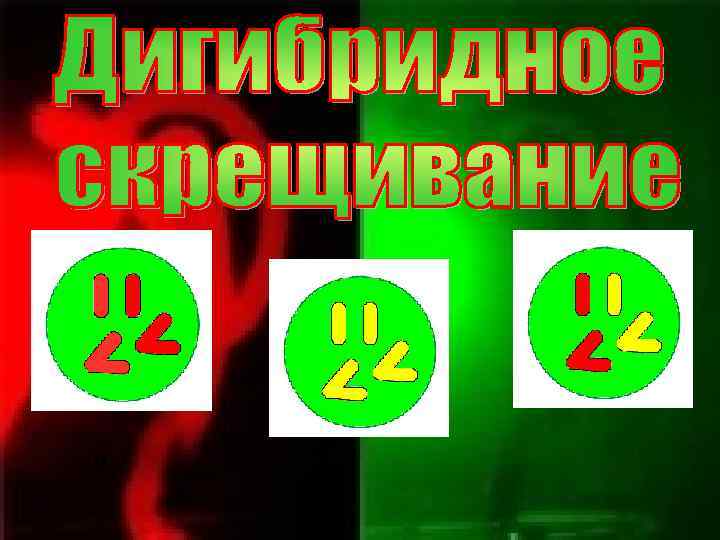 А А В В а в В в А а в В а в