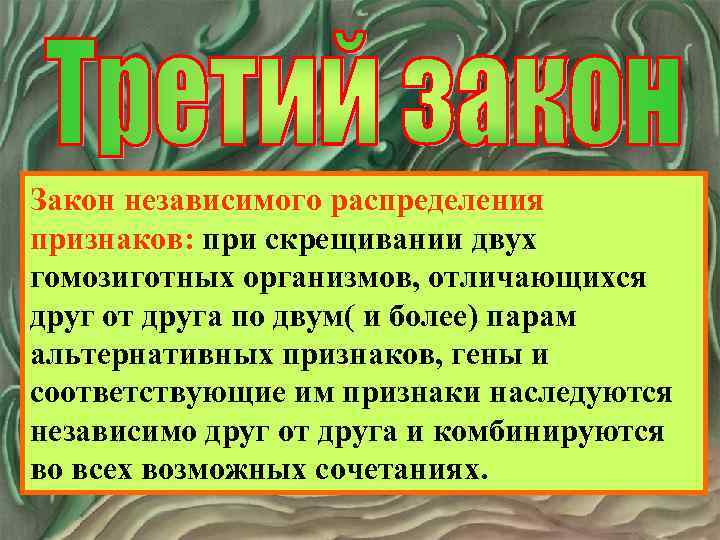 Закон независимого распределения признаков: при скрещивании двух гомозиготных организмов, отличающихся друг от друга по