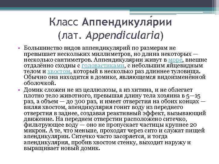 Класс Аппендикуля рии (лат. Appendicularia) • Большинство видов аппендикулярий по размерам не превышает нескольких