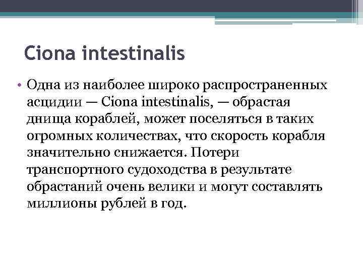 Ciona intestinalis • Одна из наиболее широко распространенных асцидии — Ciona intestinalis, — обрастая