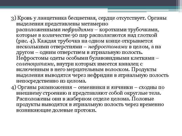 3) Кровь у ланцетника бесцветная, сердце отсутствует. Органы выделения представлены метамерно расположенными нефридиями –