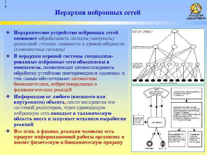 Выработка реакций