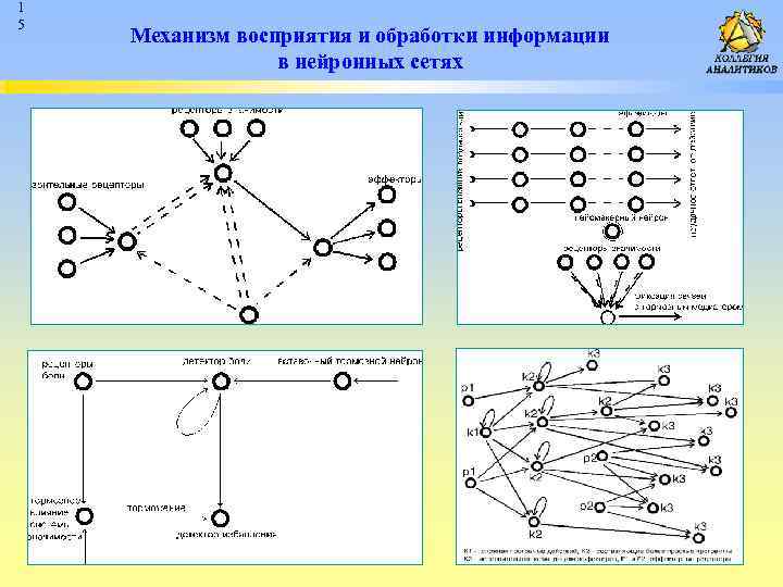 1 5 Механизм восприятия и обработки информации в нейронных сетях 