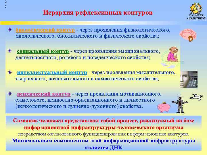 2 0 Иерархия рефлексивных контуров биологический контур - через проявления физиологического, биологический контур биологического,