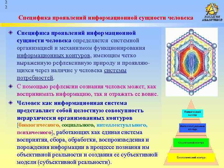 2 2 Специфика проявлений информационной сущности человека определяется системной организацией и механизмом функционирования информационных