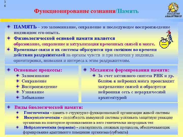 Запоминание сохранение и последующее воспроизведение. Память это запоминание сохранение и последующее. Это запоминание сохранение и последующее воспроизведение индивидом. Физ основой памяти является.