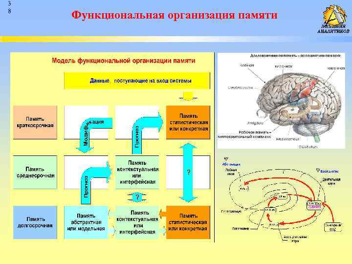 3 8 Функциональная организация памяти 