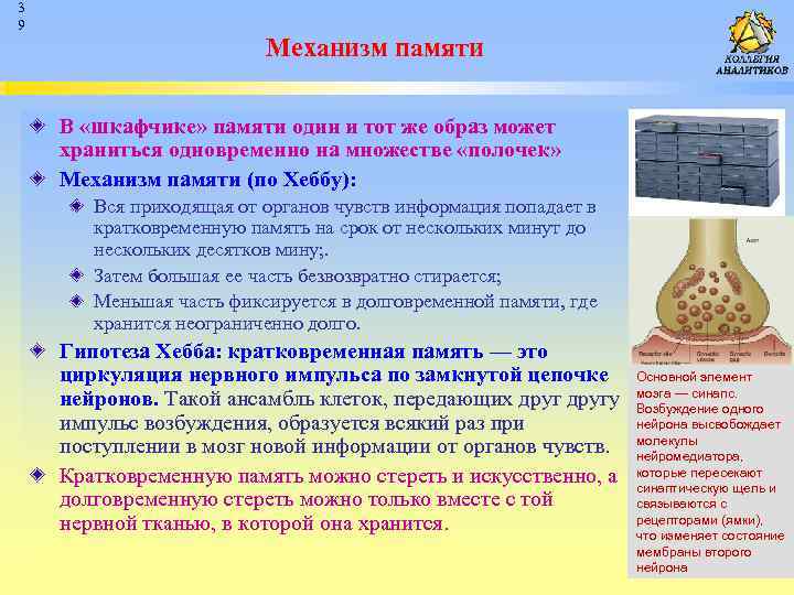 3 9 Механизм памяти В «шкафчике» памяти один и тот же образ может храниться