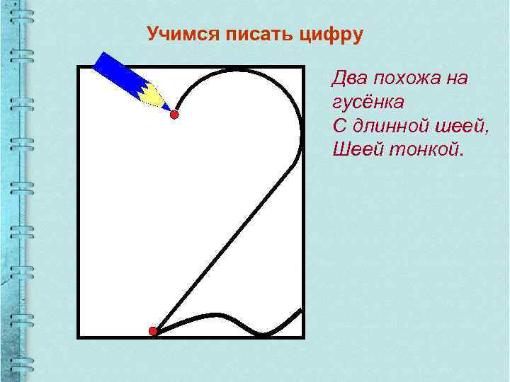 Учимся писать цифру Два похожа на гусёнка С длинной шеей, Шеей тонкой. 