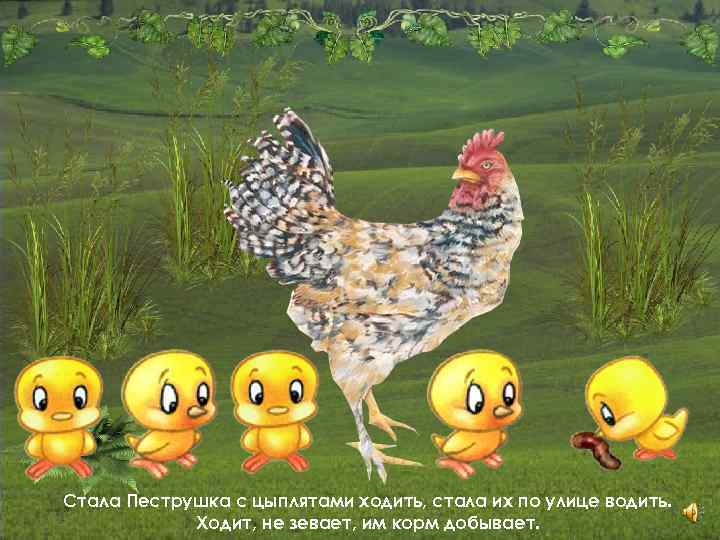 Стала Пеструшка с цыплятами ходить, стала их по улице водить. Ходит, не зевает, им