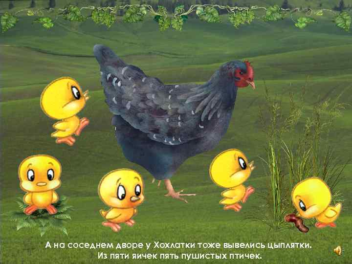 А на соседнем дворе у Хохлатки тоже вывелись цыплятки. Из пяти яичек пять пушистых