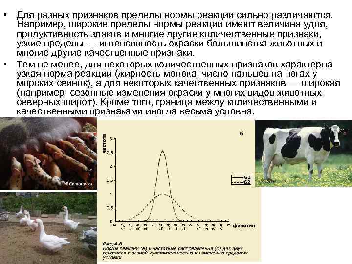  • Для разных признаков пределы нормы реакции сильно различаются. Например, широкие пределы нормы