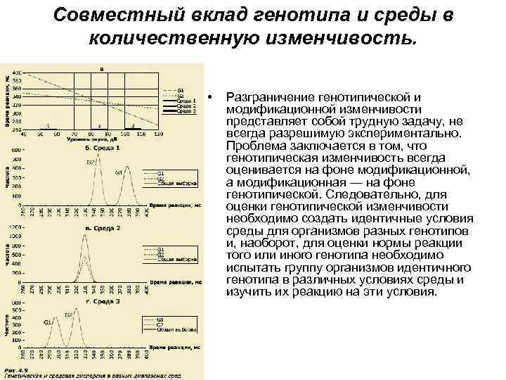 Совместный вклад генотипа и среды в количественную изменчивость. • Разграничение генотипической и модификационной изменчивости