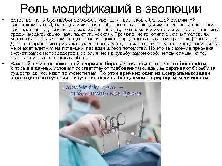 Роль модификаций в эволюции • • Естественно, отбор наиболее эффективен для признаков с большей