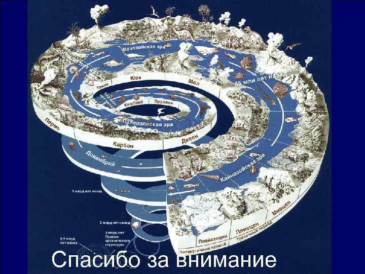 Спасибо за внимание 