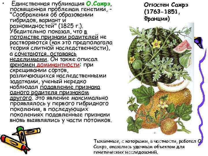  • Единственная публикация О. Сажрэ, посвященная проблемам генетики, 