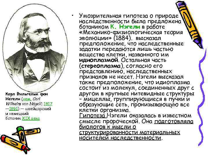 Карл Вильгельм фон Не гели (нем. Carl Wilhelm von Nägeli; 1817 — 1891) —