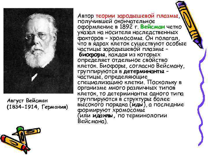  • Автор теории зародышевой плазмы, получившей окончательное оформление в 1892 г. Вейсман четко