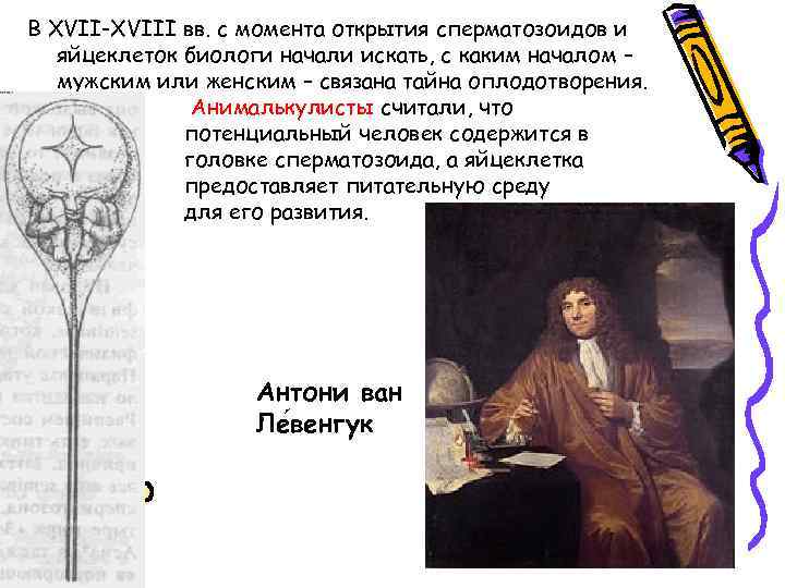 В XVII-XVIII вв. с момента открытия сперматозоидов и яйцеклеток биологи начали искать, с каким