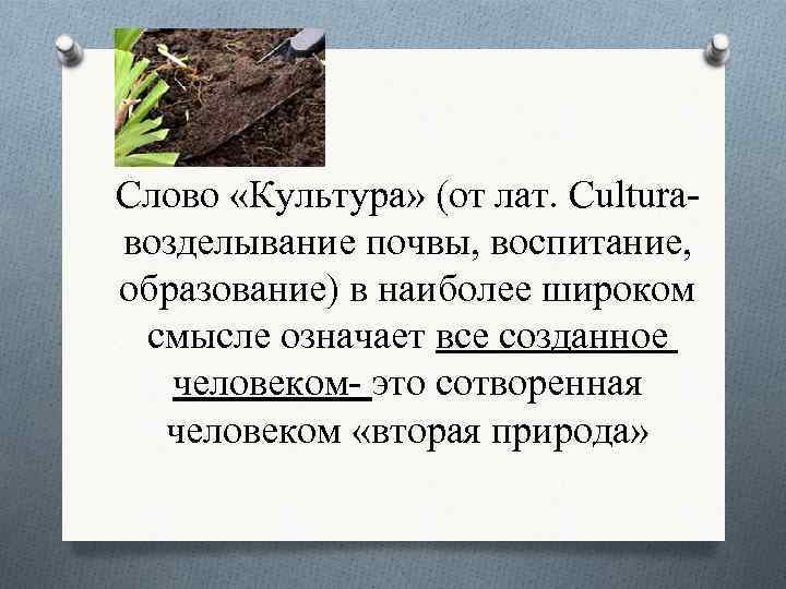 Слово «Культура» (от лат. Culturaвозделывание почвы, воспитание, образование) в наиболее широком смысле означает все