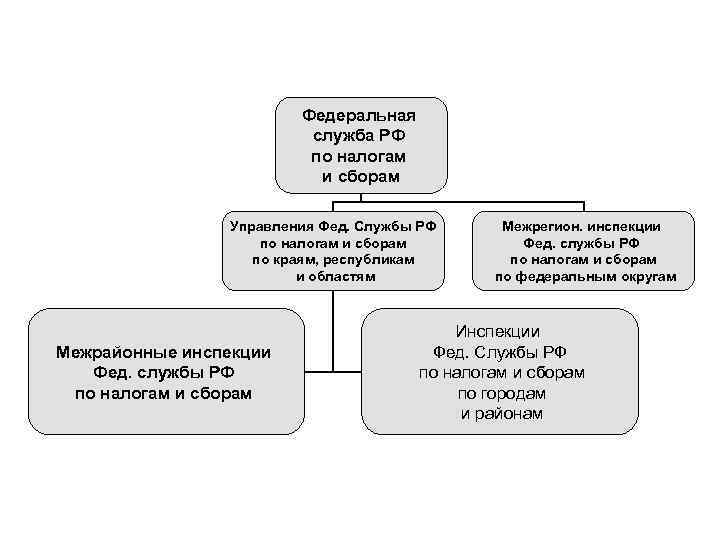 Федеральная служба РФ по налогам и сборам Управления Фед. Службы РФ по налогам и