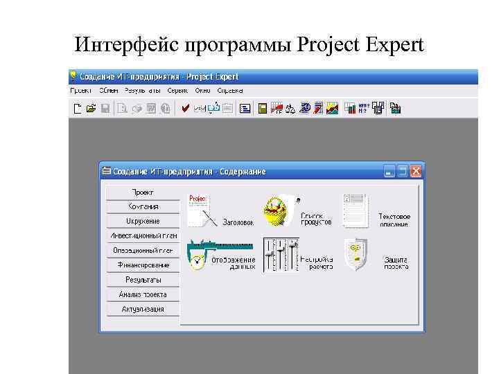 Интерфейс программы Project Expert 