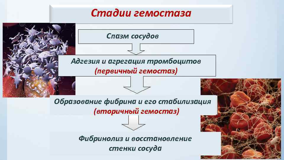 Активация тромбоцитов схема