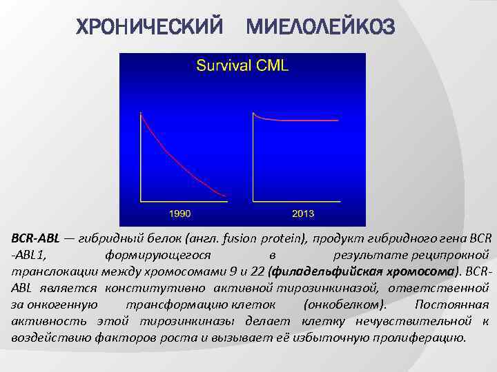 ХРОНИЧЕСКИЙ МИЕЛОЛЕЙКОЗ BCR-ABL — гибридный белок (англ. fusion protein), продукт гибридного гена BCR -ABL