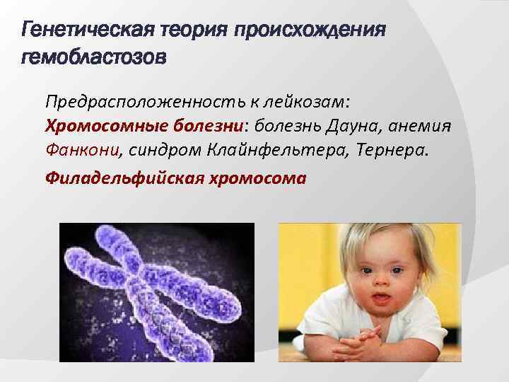 Наследственный материал хромосомы. Генетические и хромосомные заболевания. Хромосомные заболевания человека.