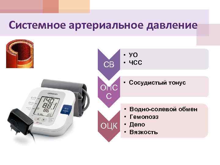 Системное артериальное давление СВ ОПС С ОЦК • УО • ЧСС • Сосудистый тонус
