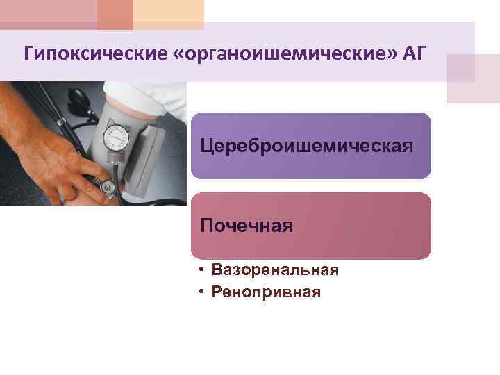 Гипоксические «органоишемические» АГ Цереброишемическая Почечная • Вазоренальная • Ренопривная 