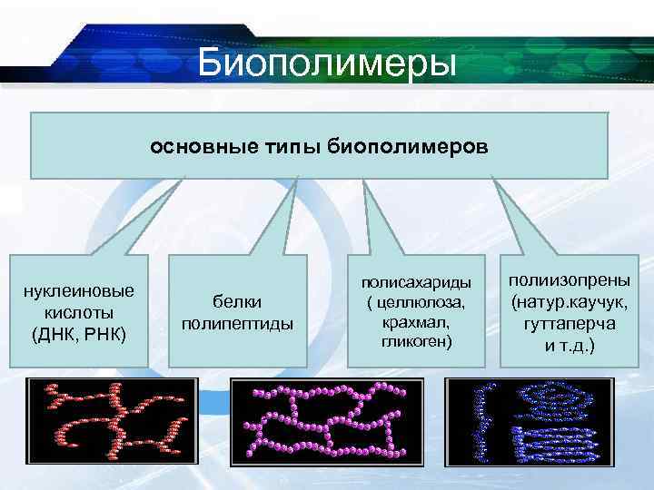 Биополимеры основные типы биополимеров нуклеиновые кислоты (ДНК, РНК) 2/1/2018 белки полипептиды полисахариды ( целлюлоза,