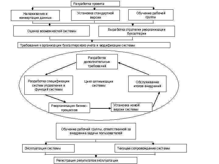 Разработка проекта Обучение рабочей группы Установка стандартной версии Налаживание и конвертация данных Выработка стратегии